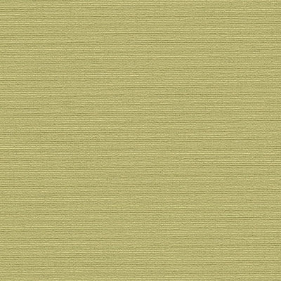 Solid matt green wallpaper, 1373476 AS Creation