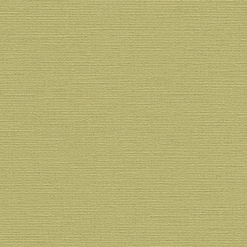 Solid matt green wallpaper, 1373476 AS Creation