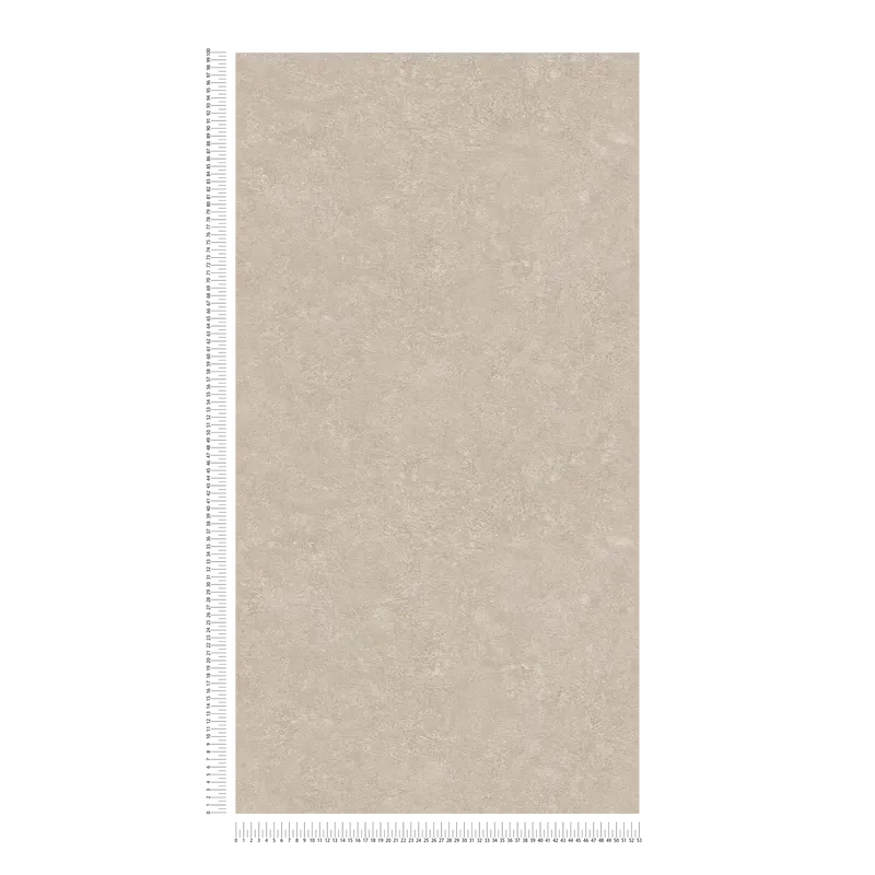 Vienkrāsainas tapete ar dekoratīva apmetuma rakstu, bēšas, 377451 AS Creation