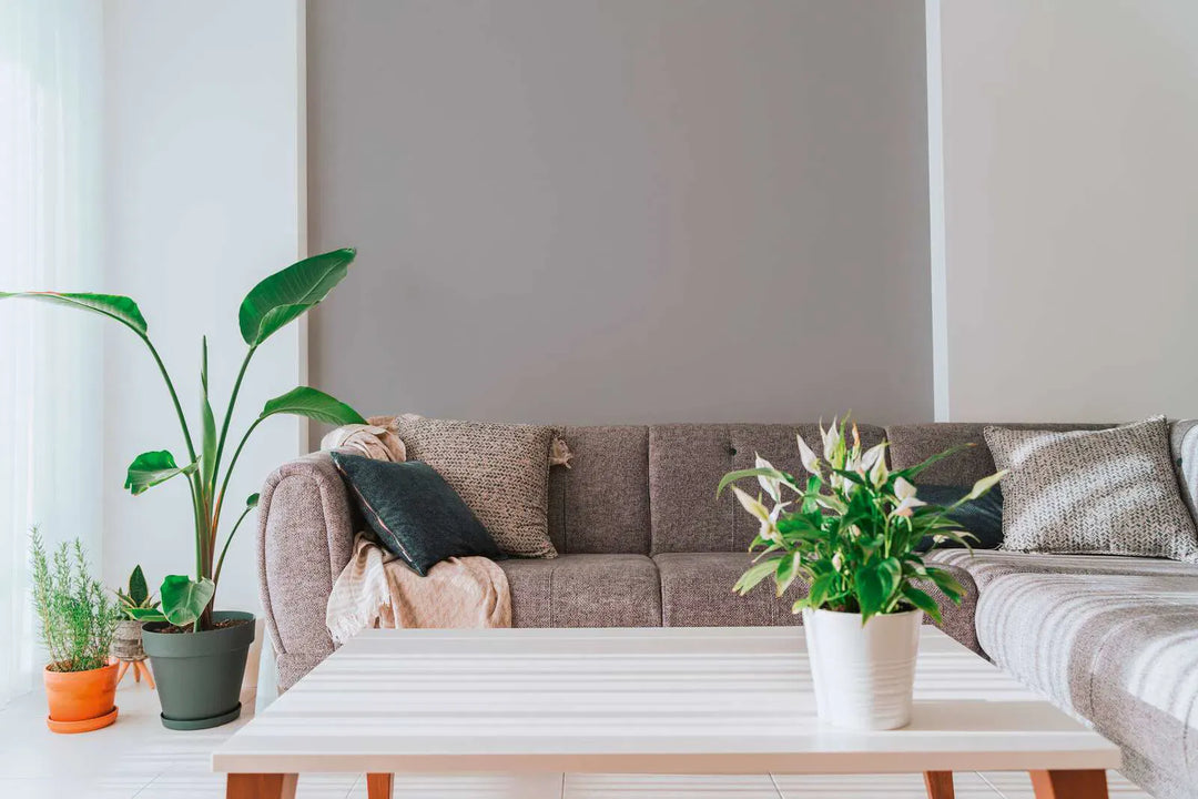 Vienkrāsainas tapetes ar lina tekstūru: tumši pelēkā krāsā,  389037 AS Creation