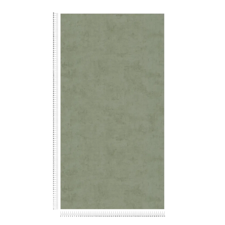 Tapetes ar smalku tekstūru un matētu apdari –  tumši zaļas - 3011742 AS Creation