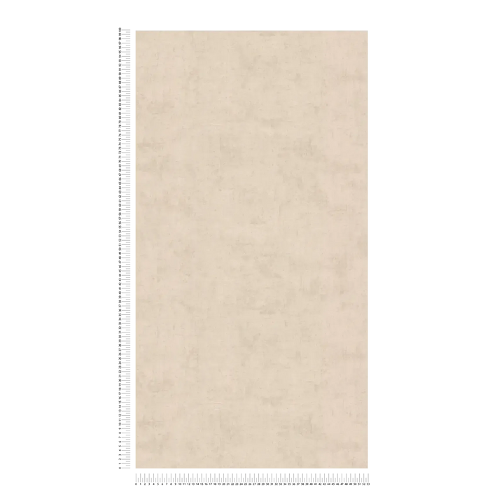 Tapetes ar smalku tekstūru un matētu dizainu - smilškrāsas - 3011765 AS Creation