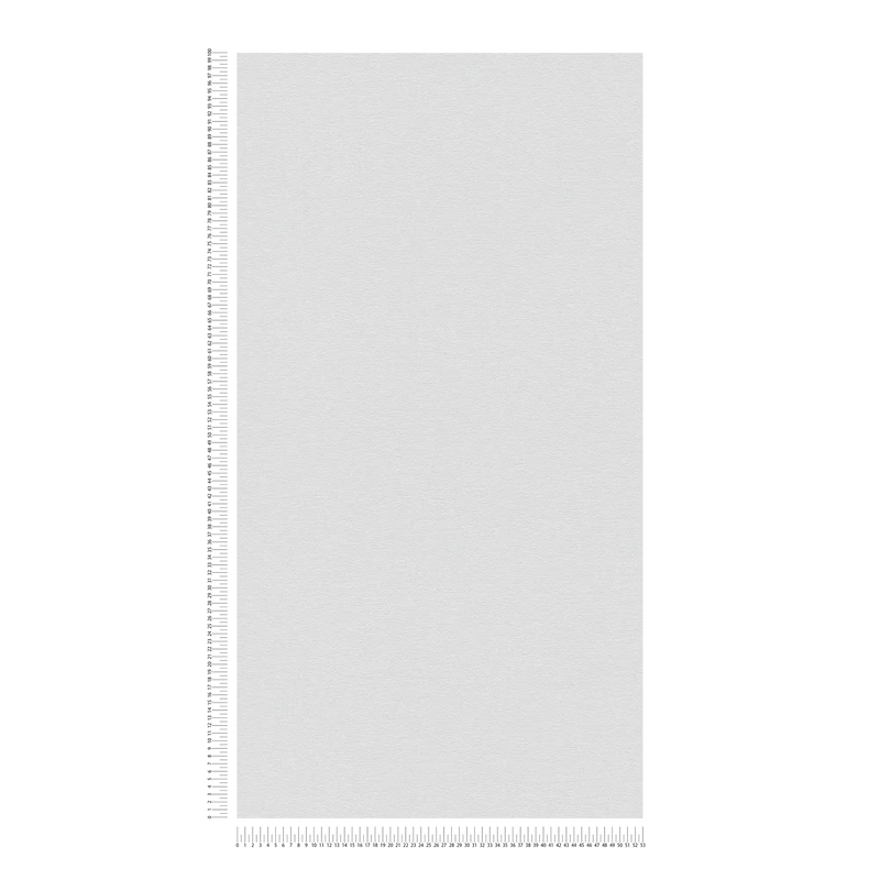 Ühevärviline tapeet kerge tekstuuriga ja matt viimistlusega - valge, 1406407 AS Creation