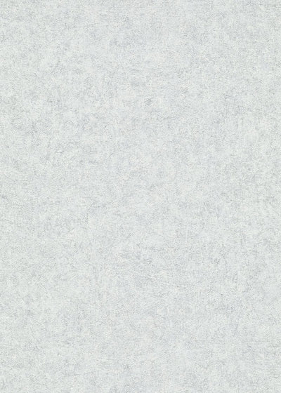 Plain wallpapers with silky shine, Erismann, light silver, 3752643 Erismann