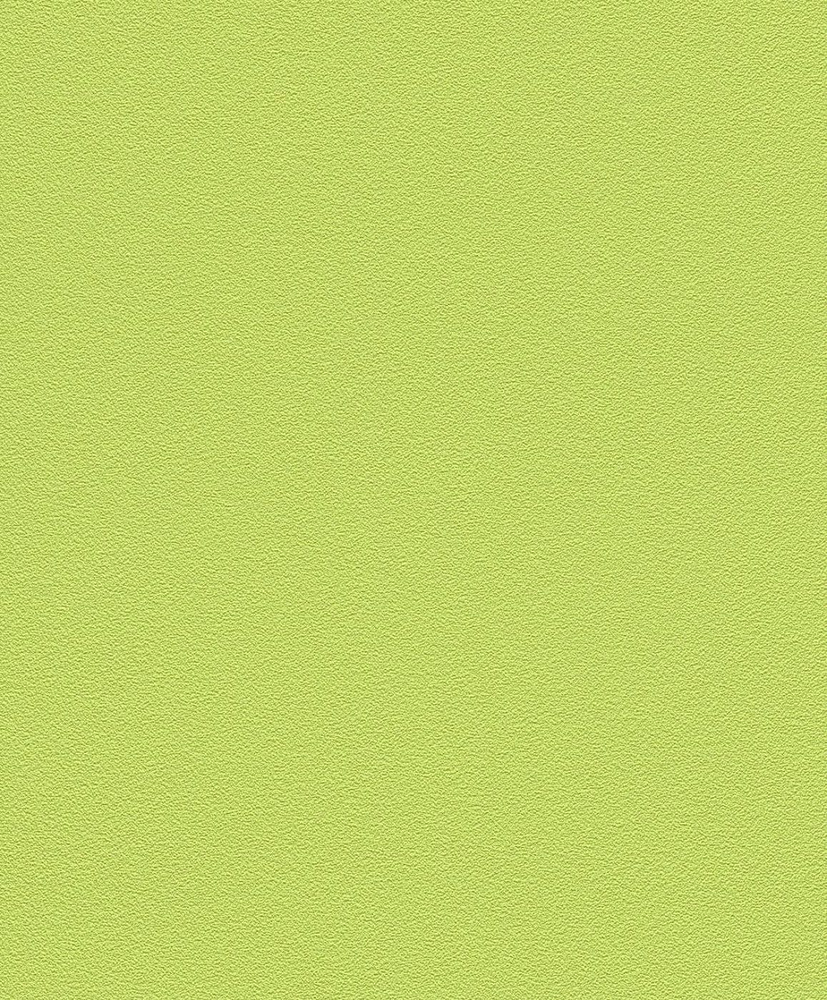 Vienkrāsainas tapetes bērnu istabas zaļā krāsā - RASCH 469035 Erismann