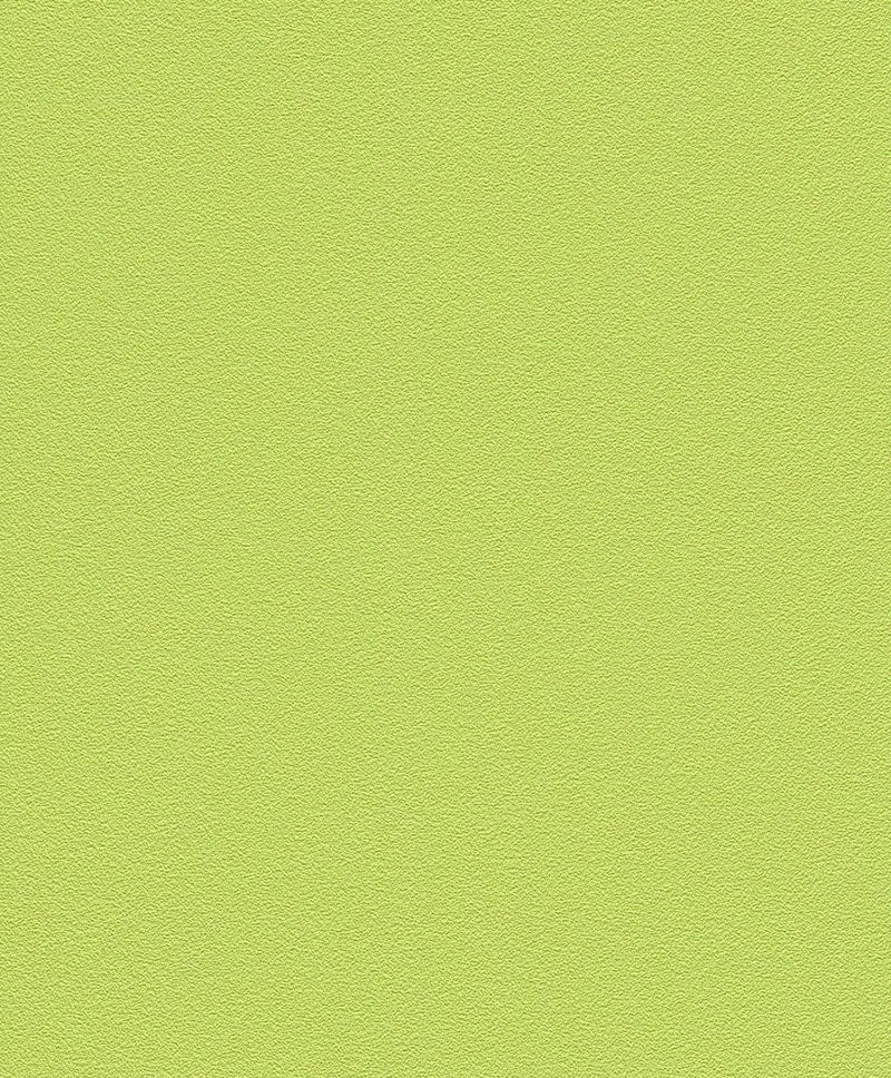 Ühevärviline tapeet lastetoad rohelist värvi - 1624053 Erismann