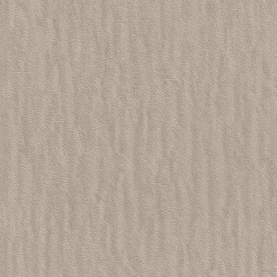 Plain wallpapers Brown with glitter effect, RASCH, 2131352 AS Creation