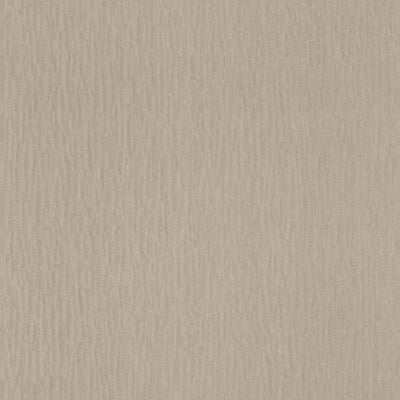 Plain wallpapers Brown with glitter effect, RASCH, 2131352 AS Creation