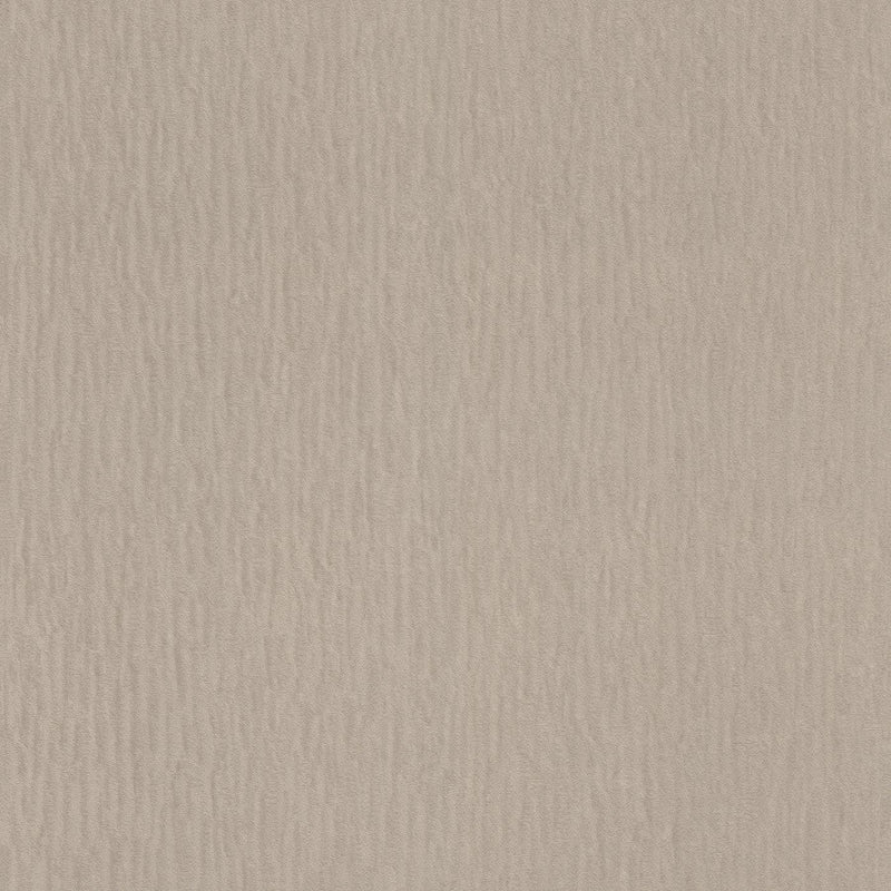 Plain wallpapers Brown with glitter effect, RASCH, 2131352 AS Creation