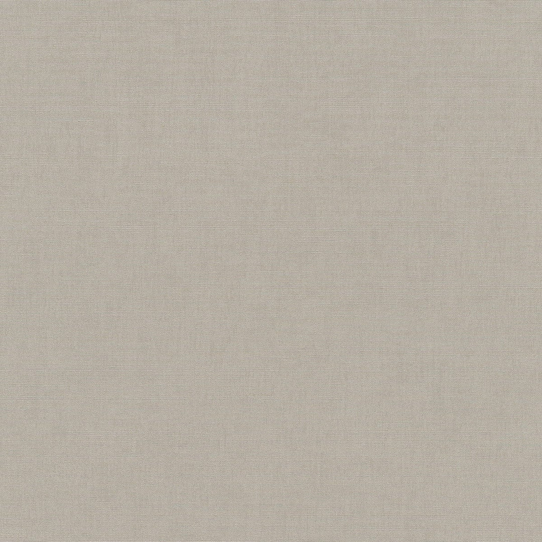 ERISMANN tapetes 4012362: Gaiši brūna, spīdums Erismann