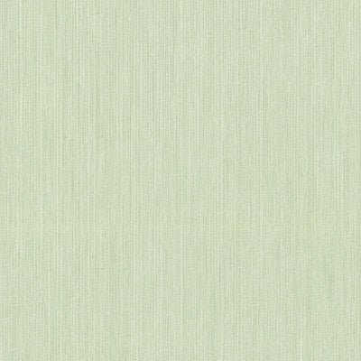 Vienkrāsainas tapetes MICHALSKY zaļā krāsā, 1310705 AS Creation