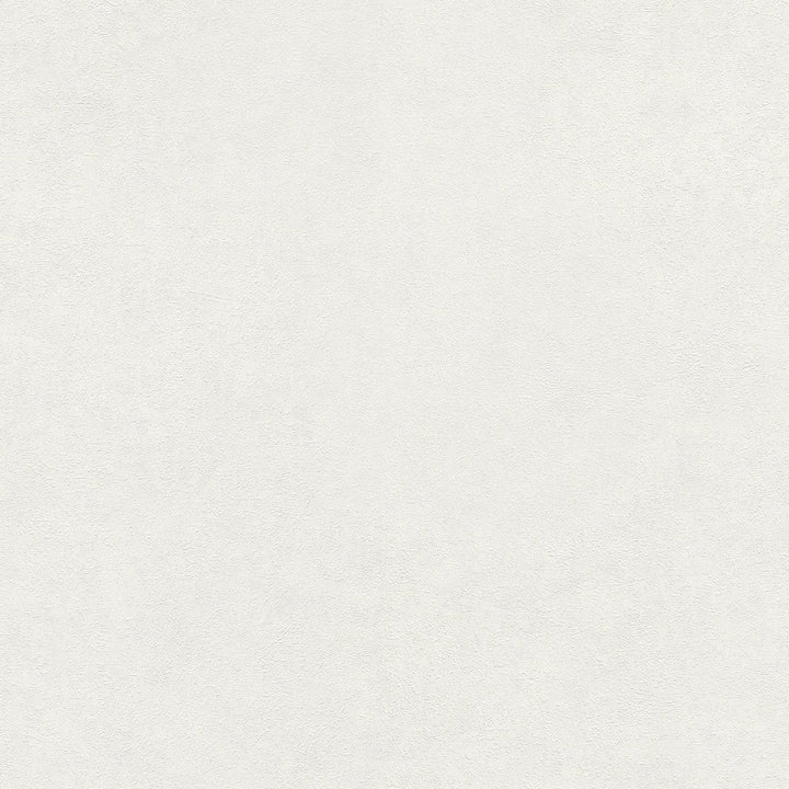 Vienkrāsainas tapetes, nedaudz spīdīgas un tekstūrētas, baltā, 1045301 Erismann