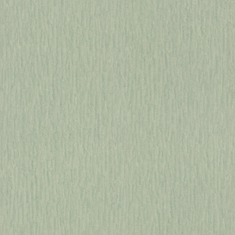 Plain wallpapers green with glitter effect, RASCH, 2131325 AS Creation