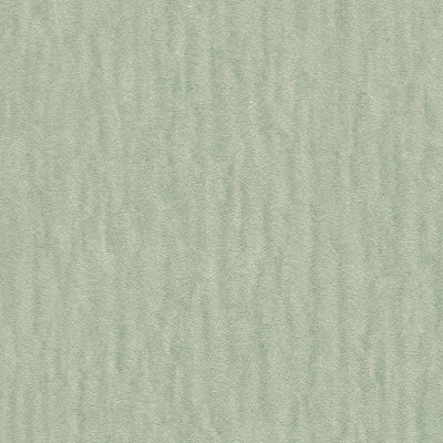 Plain wallpapers green with glitter effect, RASCH, 2131325 AS Creation