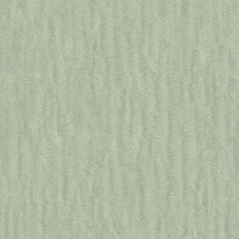 Plain wallpapers green with glitter effect, RASCH, 2131325 AS Creation