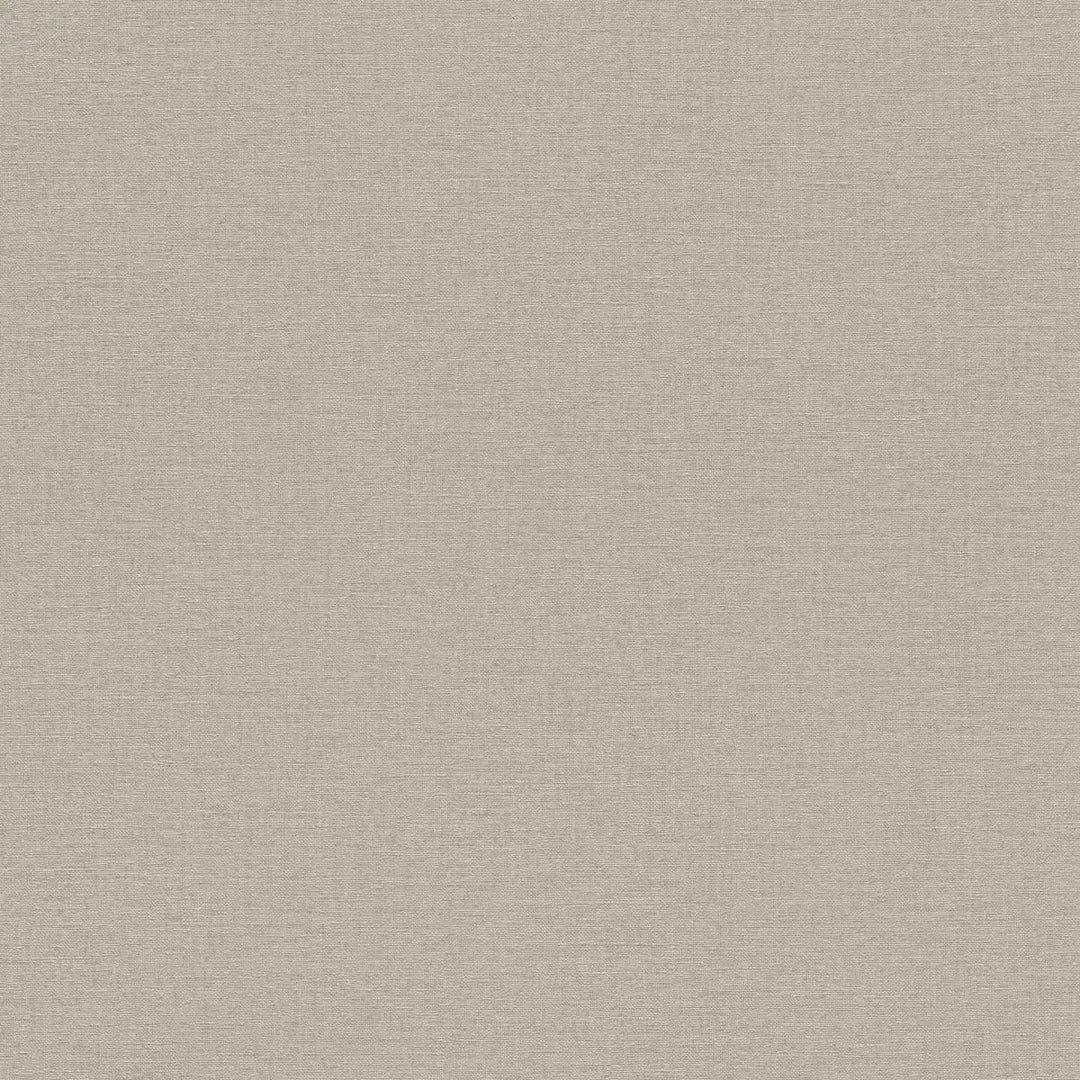 Rasch tapetes 1562664 | Silts,taupe tonis ar smalku auduma faktūru