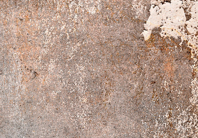 XXL izmēra glezna - Rūsas tekstūra sepijas un pelēkā krāsā, 151482 G-ART