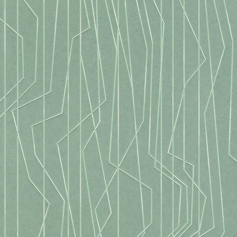 Vihreä kuitukangastapetti, jossa kohokuvio, 1320221, 🚀pikatoimitus AS Creation