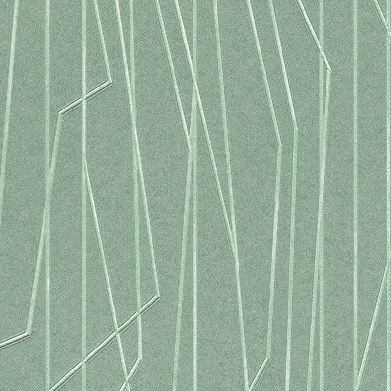 Roheline reljeefmustriga fliistapeet, 1320221, 🚀kiire kohaletoomine AS Creation