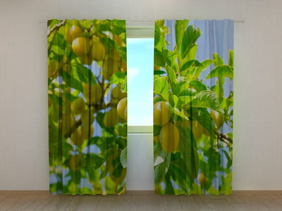 Curtains with apricot tree Tapetenshop.lv