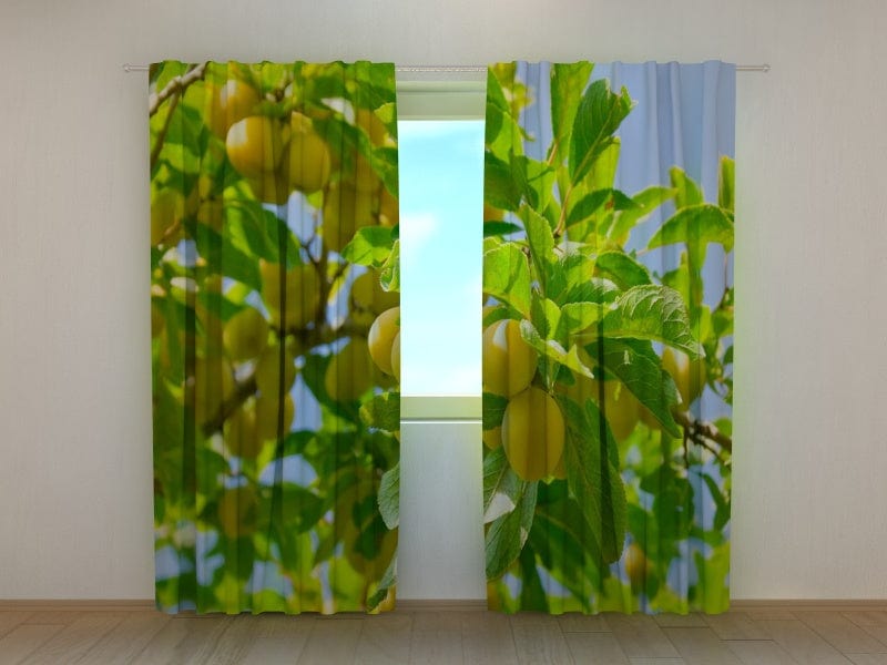Curtains with apricot tree Tapetenshop.lv