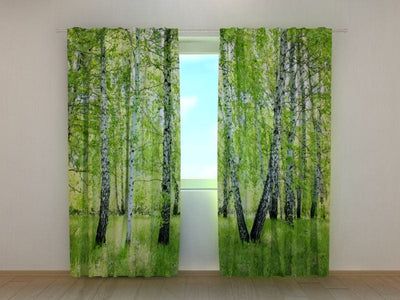 Curtains with birch trees - Forest in summer Tapetenshop.lv