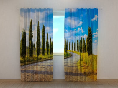 Curtains with cypresses - Cypresses in Tuscany Tapetenshop.lv
