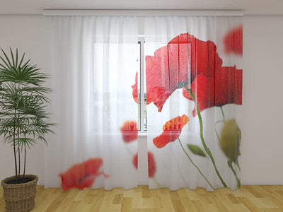 Poppy curtains - Red and white