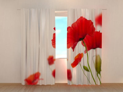 Poppy curtains - Red and white