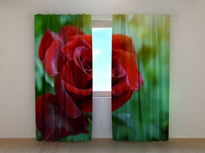 Curtains with roses - First Rose Tapetenshop.lv