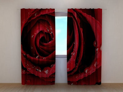 Curtains with roses - Red rose
