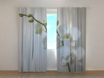 Curtains with flowers - White orchids Tapetenshop.lv