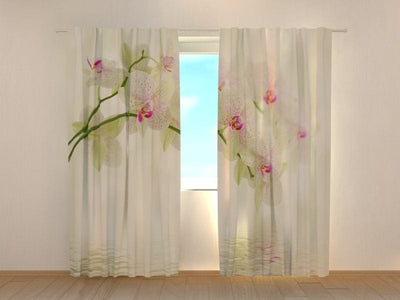 Curtains with flowers - White flowers Tapetenshop.lv