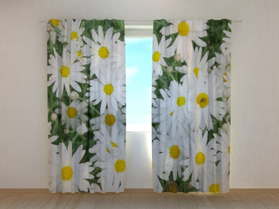 Curtains with flowers - Daisies 2 Tapetenshop.lv