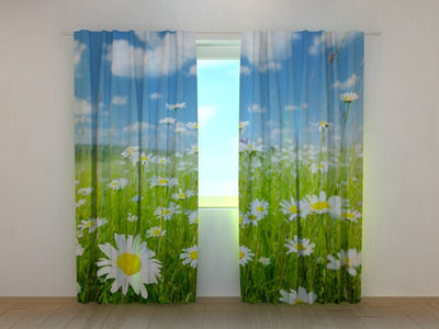 Curtains with flowers - Daisy field Tapetenshop.lv