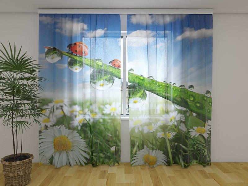 Aizkari ar ziediem - Mārītes un margrietiņa  Tapetenshop.lv