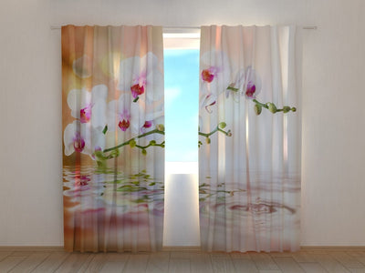 Curtains with flowers - Perfect orchid Tapetenshop.lv