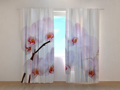 Curtains with flowers - Snow-white orchid Tapetenshop.lv