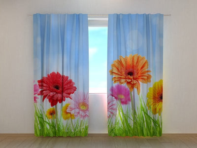 Curtains with flowers - Bright gerberas