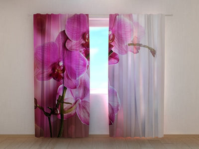 Шторы с цветами - Фиолетовые орхидеи