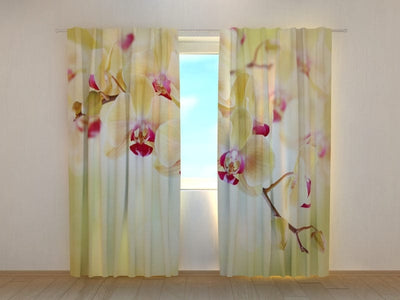 Curtains with flowers - Golden orchids Tapetenshop.lv