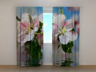 Curtains with flowers - Blooming apple tree