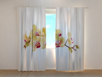 Шторы с цветочными мотивами - Золотая орхидея на белом Tapetenshop.lv