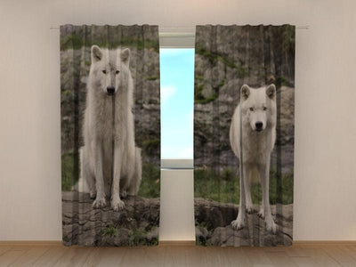 Curtains White wolf Tapetenshop.lv
