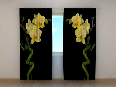 Curtains Bamboo and orchid duo