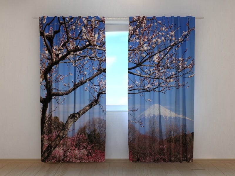 Curtains