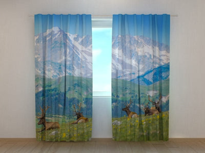 Curtains Mountain meadow