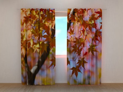 Curtains Maple leaves