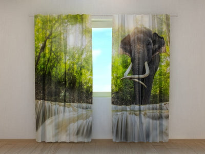 Curtains Big elephant Tapetenshop.lv