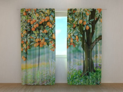 Curtains Mandarin wood
